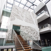 5d2034b7-30b1-4782-a905-0680276c9a41